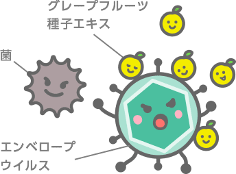菌・エンベロープウイルスに対して想定されるメカニズム1