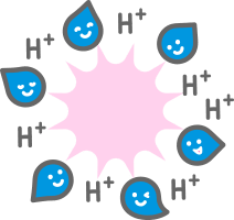 ノンエンベロープウイルスに対する作用順序3