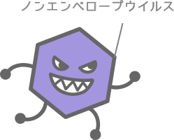 ノンエンベロープウイルスに対して想定されるメカニズム1