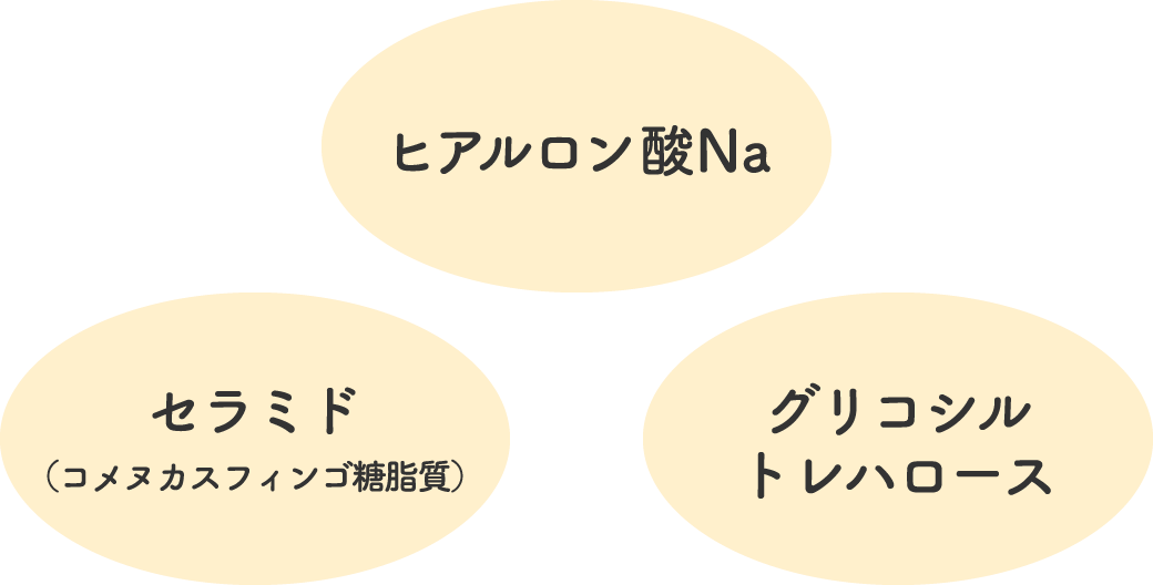 ヒアルロンNa セラミド グリコシルトレハロース