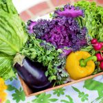 ガーデニング初心者におすすめしたい手軽に栽培できる野菜10選