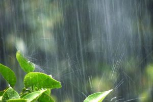 梅雨 (つゆ) 時期の湿気やカビ対策！部屋の除湿のコツ