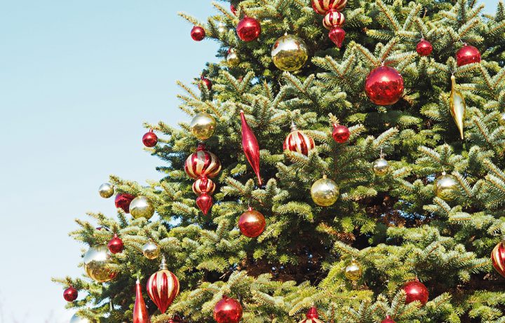 クリスマスツリーの起源・由来は？
