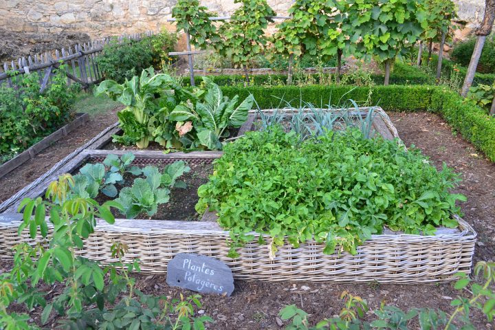 フランス式の家庭菜園 ポタジェガーデン で収穫も楽しめる庭作りを For Your Life