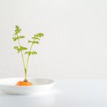【簡単でおしゃれ！】キッチン菜園におすすめの野菜と育て方をご紹介