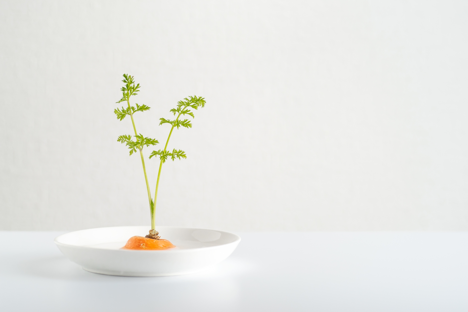 【簡単でおしゃれ！】キッチン菜園におすすめの野菜と育て方をご紹介
