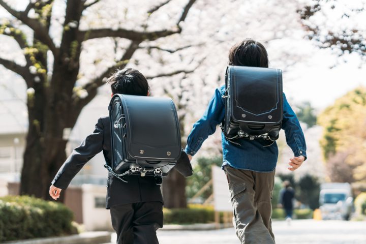 入学式のイメージが、桜からイチョウになる日が…