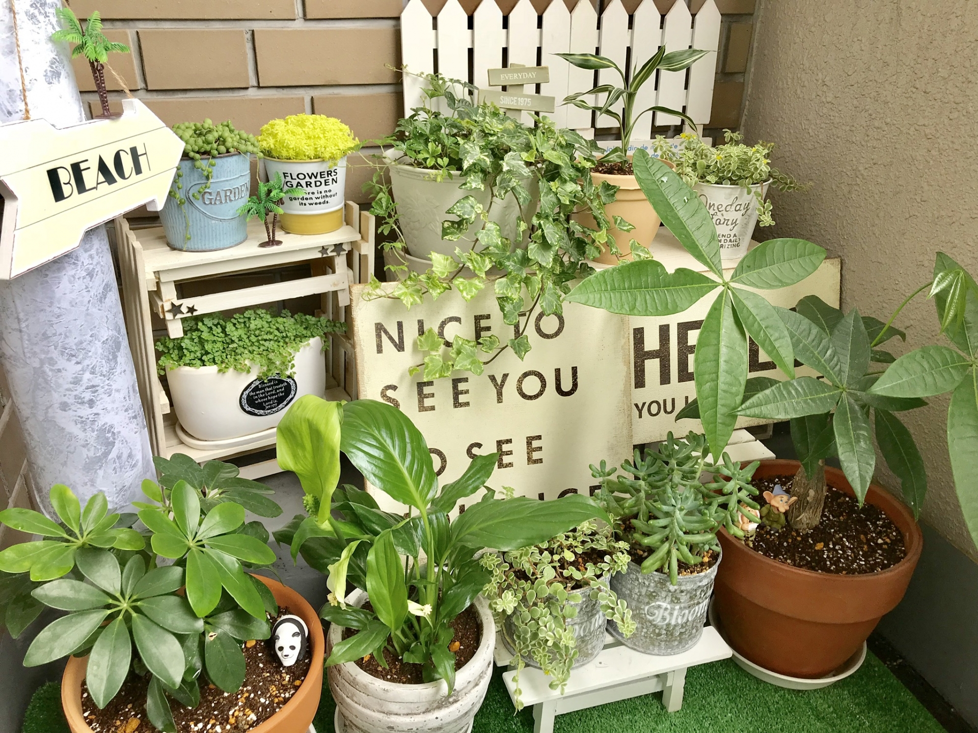 初心者必見！ベランダ園芸でおすすめの植物・準備するものを紹介 - For