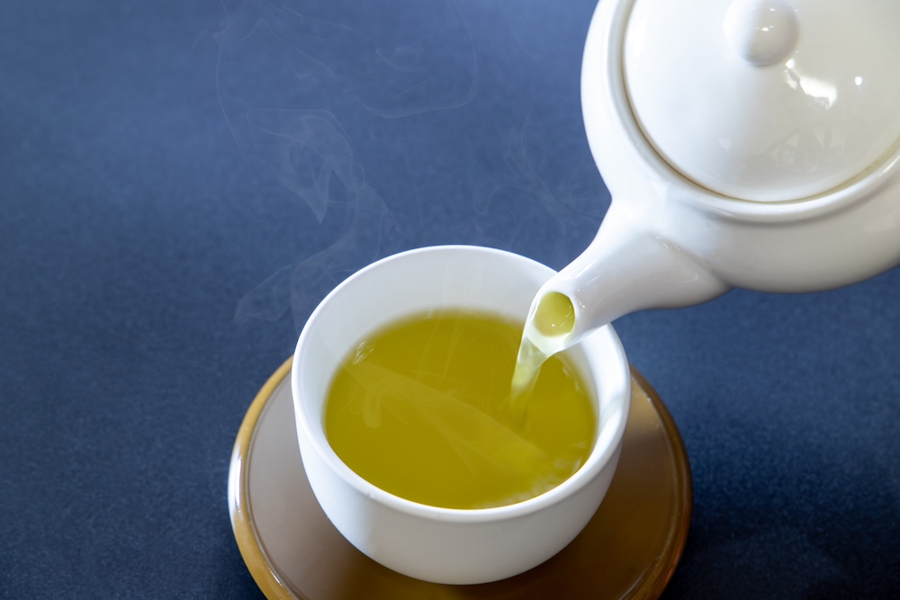 元はみんな同じ茶葉って本当？緑茶・紅茶・ウーロン茶などの製法を解説