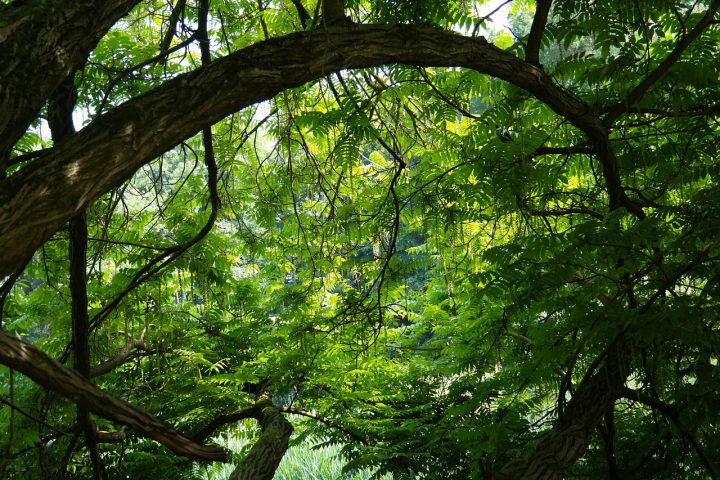 【秋冬のゴキブリ対策】越冬させずに駆除する方法を生態とともに解説