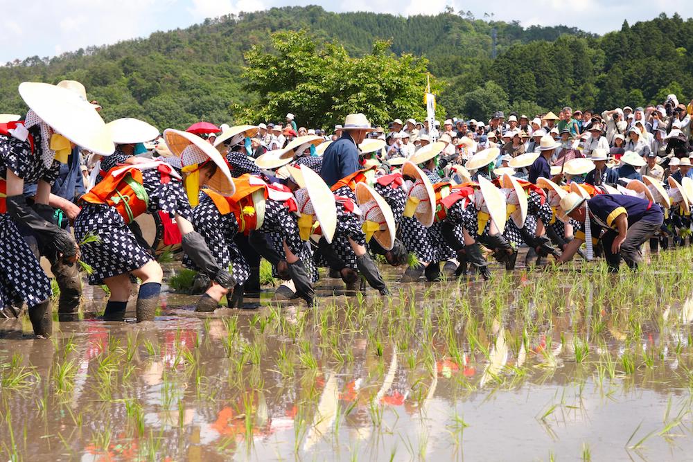 広島県の伝統行事・祭り