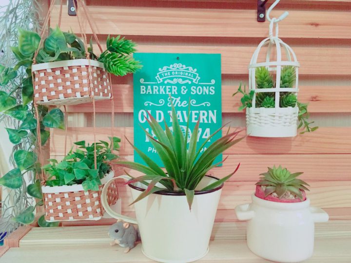 ガーデニングをさらに楽しむために！DIYで植物の棚を作る方法は？