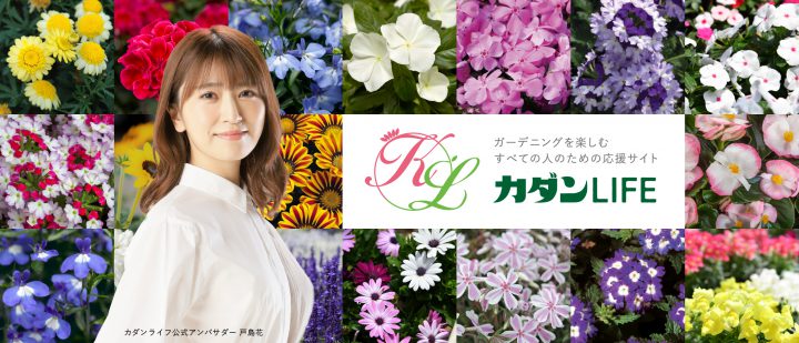 フマキラー製品のcmでも活躍 戸島花さんの経歴 Q Aを紹介 For Your Life