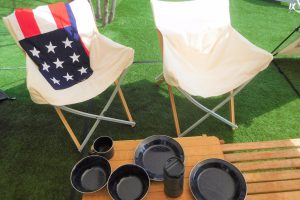 【アサガオの育て方】日々の手入れや増やし方・病害虫を解説