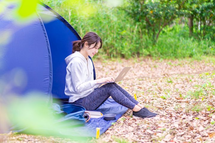 日本の夏の代名詞アサガオの基礎知識