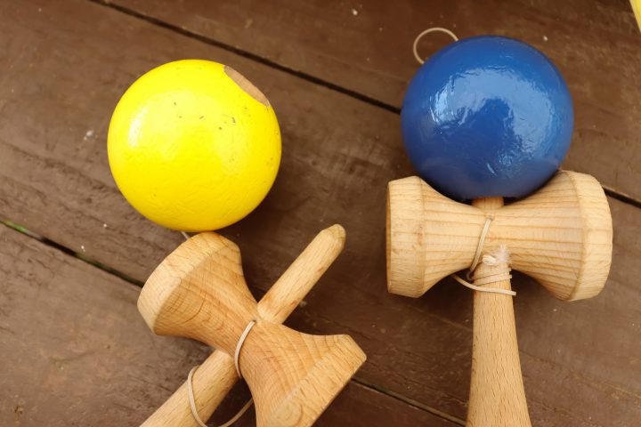 アリウムの育て方のポイント2つ