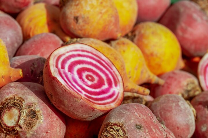 ヨーロッパ野菜の種類～根