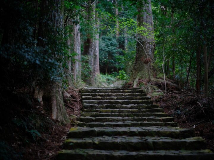 上富田町の文化と歴史