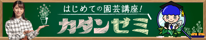 カダンゼミ 〜はじめての園芸講座！〜