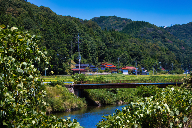 広島県で取れる山の幸は？おすすめの郷土料理を紹介