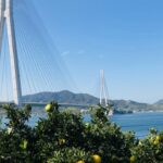 広島県で有名な果物は？主要果実・特産果実を紹介