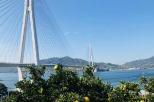 広島県で有名な果物は？主要果実・特産果実を紹介