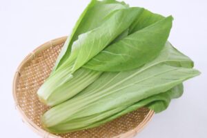 広島県で有名な野菜は？7大葉物野菜を紹介