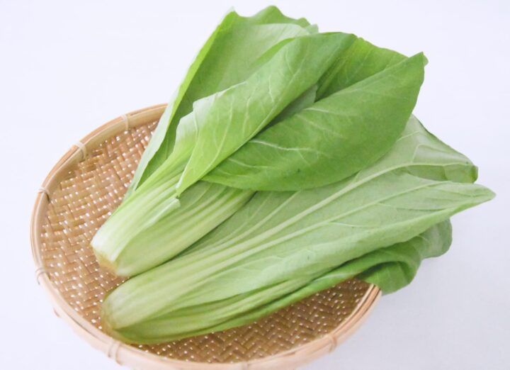広島県で有名な野菜は？7大葉物野菜を紹介