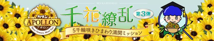 カダン アポロン 千花繚乱キャンペーン第3弾