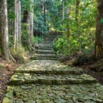 世界遺産「熊野古道」とは？おすすめコースや注意点を解説