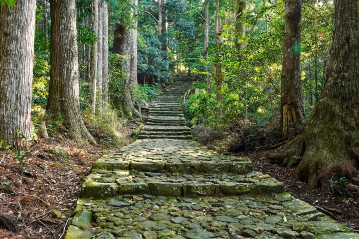 世界遺産「熊野古道」とは？おすすめコースや注意点を解説