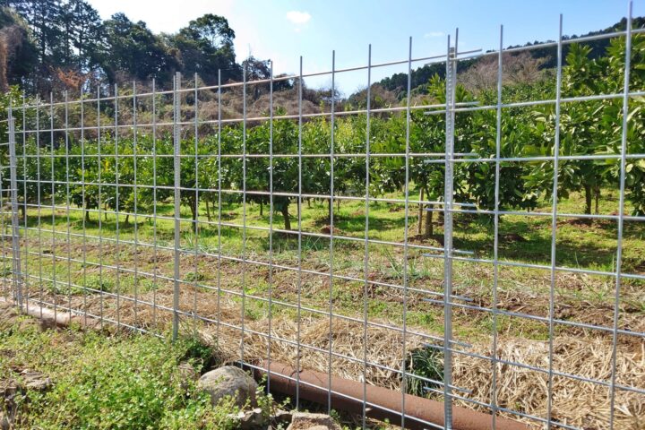 柵(電気柵)・ネットを設置する|農作物を守る