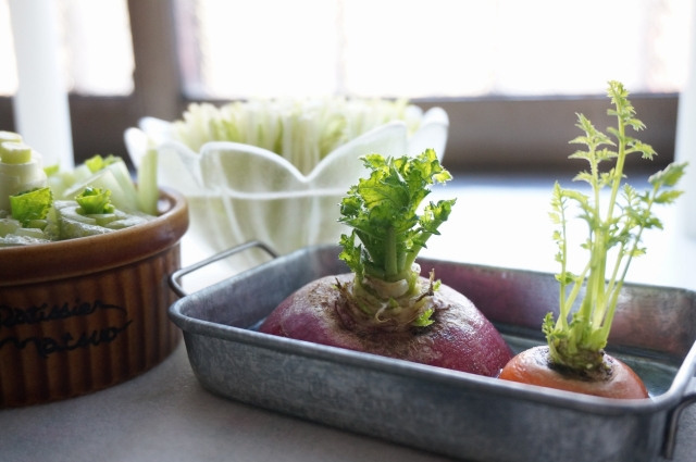 リボべジに必要なもの