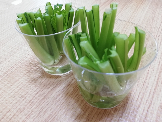 リボべジの育て方