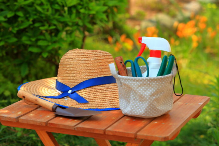 パセリの栽培に必要なもの