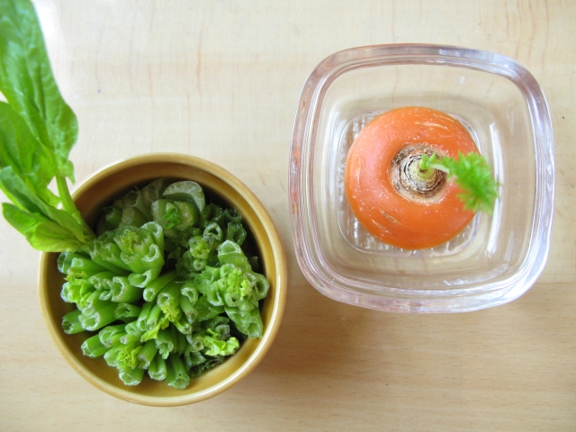 リボベジに挑戦するときの注意点