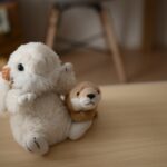 ぬい活のやり方は？推し活との違いや楽しみ方、注意点を解説