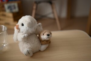 ぬい活のやり方は？推し活との違いや楽しみ方、注意点を解説
