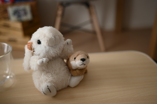 ぬい活のやり方は？推し活との違いや楽しみ方、注意点を解説