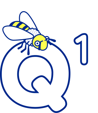 Q1