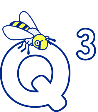 Q3