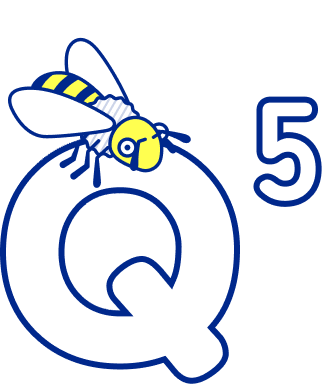 Q5