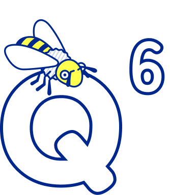 Q6