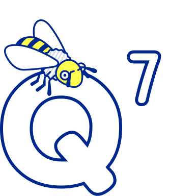 Q7