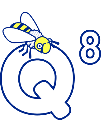 Q8