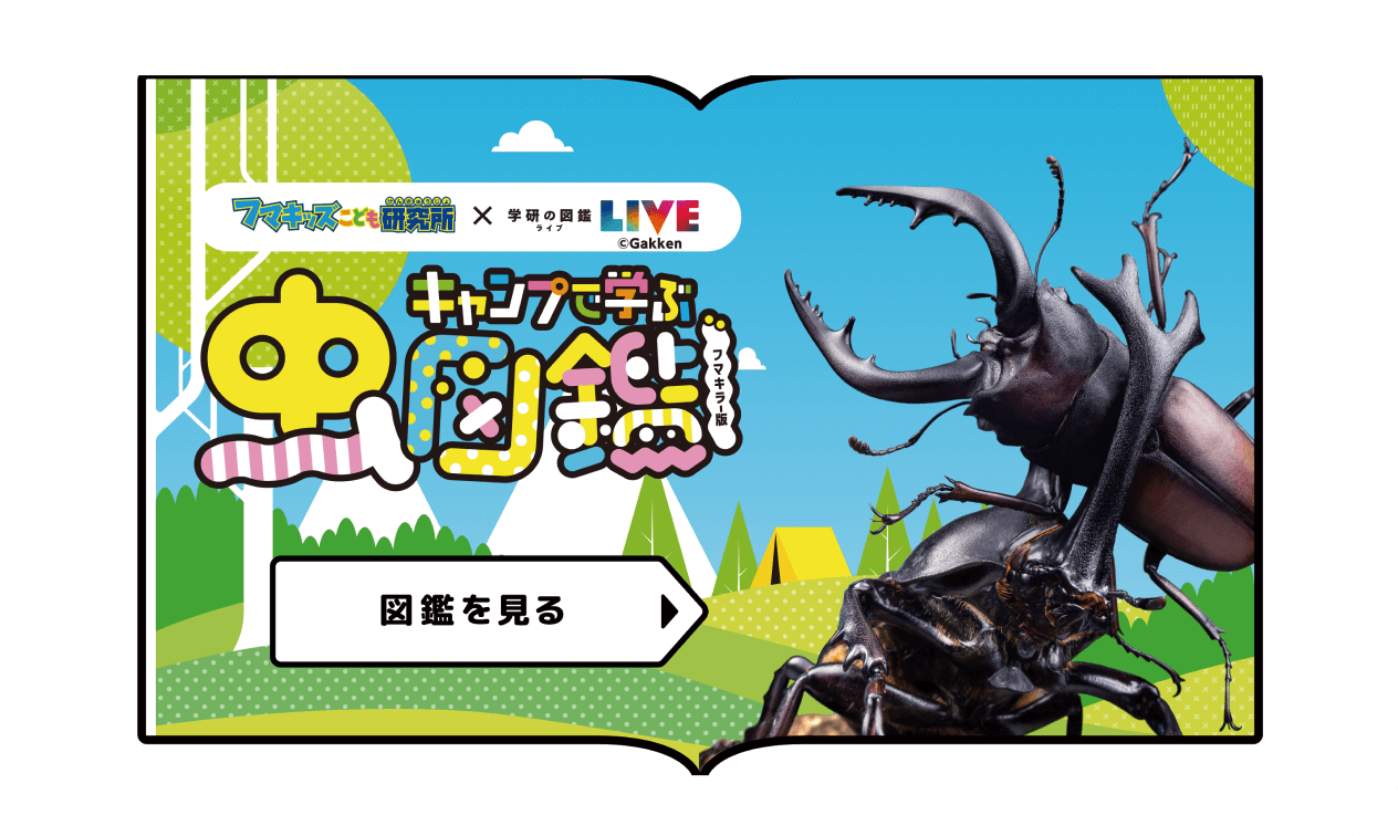 キャンプで学ぶ虫図鑑 図鑑を見る