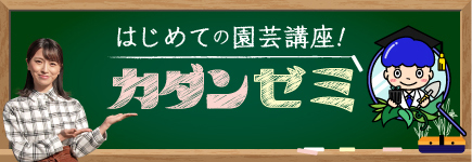 はじめての園芸講座　カダンゼミ