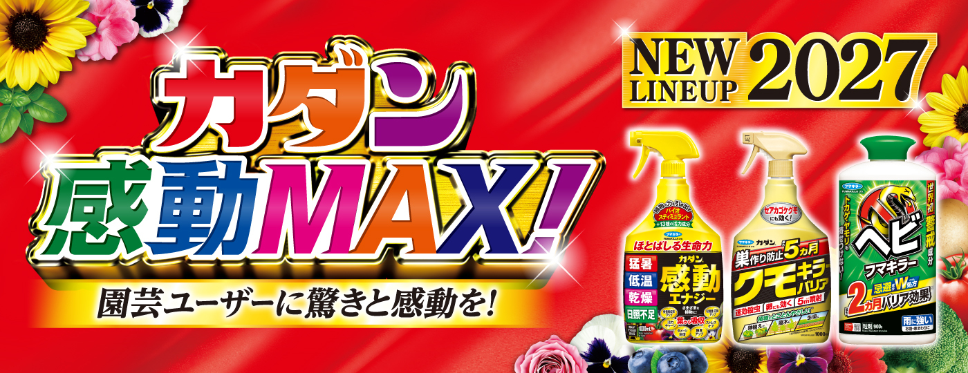 NEW LINEUP 2027 カダン感動MAX
