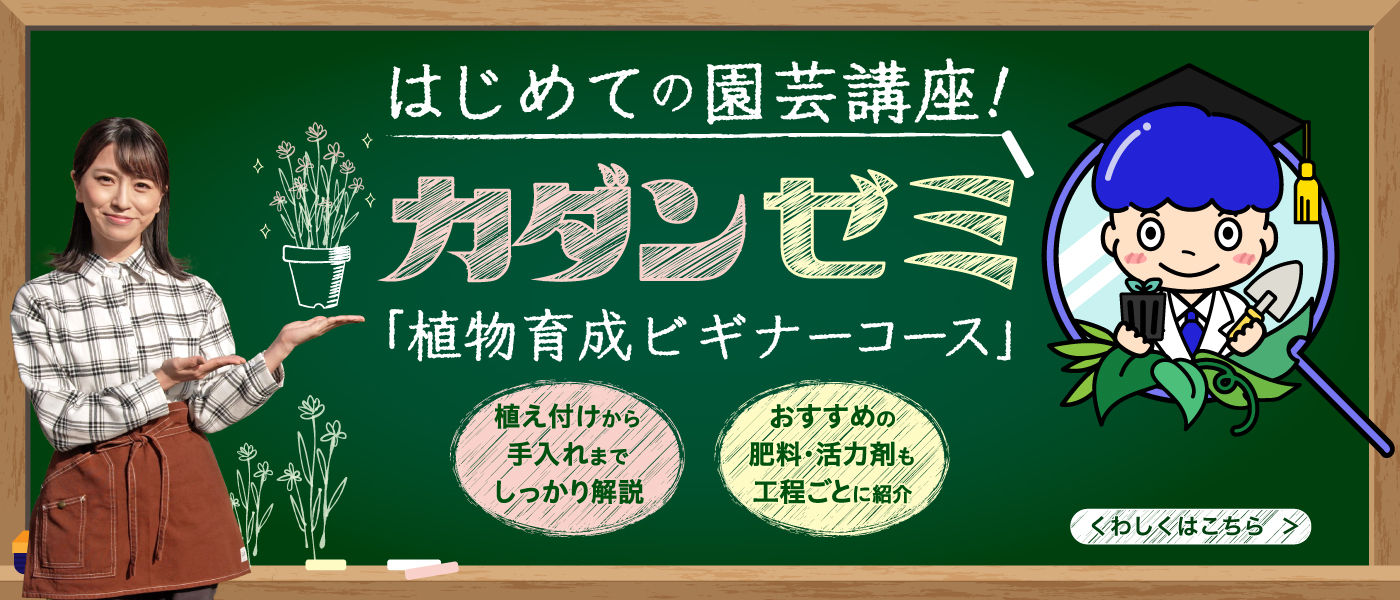 カダンゼミ「植物育成ビギナーコース」