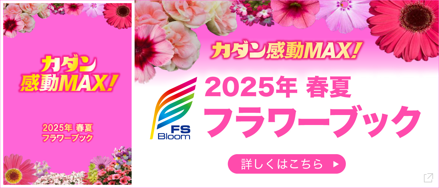 カダンゼミ「植物育成ビギナーコース」